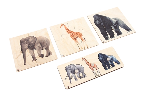 Animals of Africa: Puzzles Set Questions & Answers