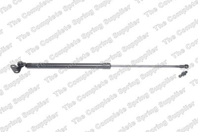 Lesjofors 8192579 Tailgate Lift Support Questions & Answers