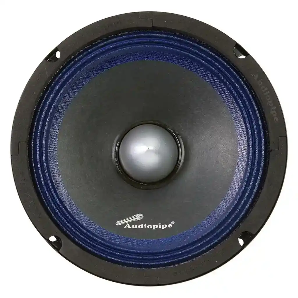 What type of loudspeaker is this?