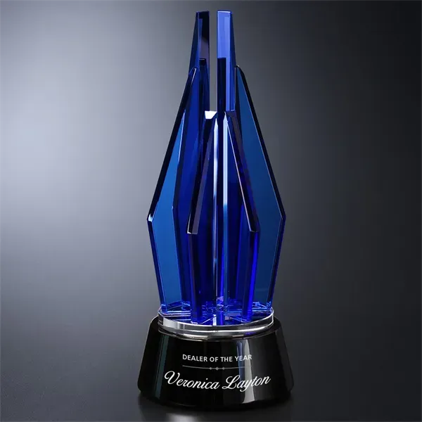 Vector Indigo Award 11 Questions & Answers