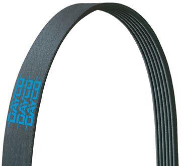 Dayco 5081333 Serpentine Belt Questions & Answers